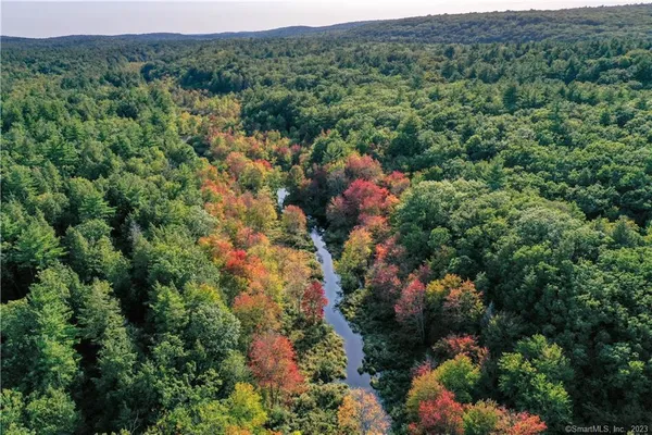 a view of a house with a lush green forest