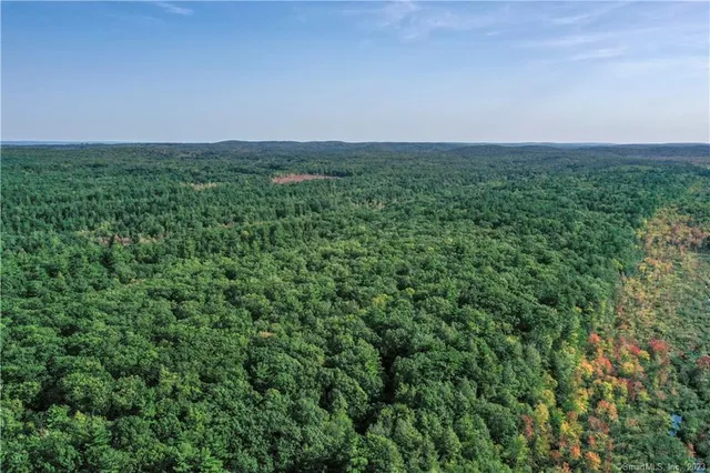 a view of a green field with lots of bushes