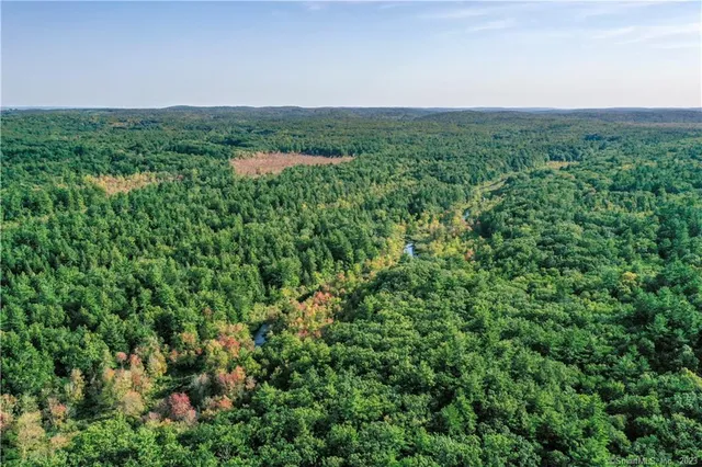a view of a big yard with lots of green space