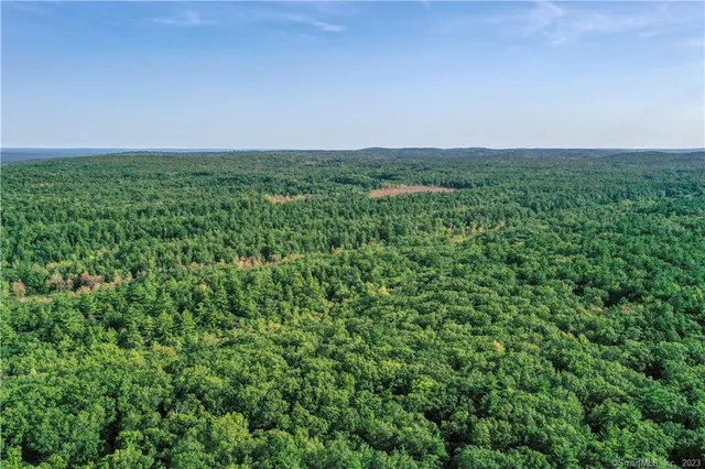 a view of a green field with lots of bushes