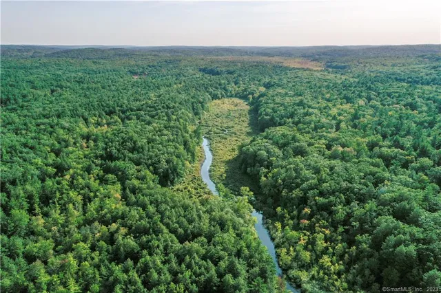 a view of a field of grass and trees