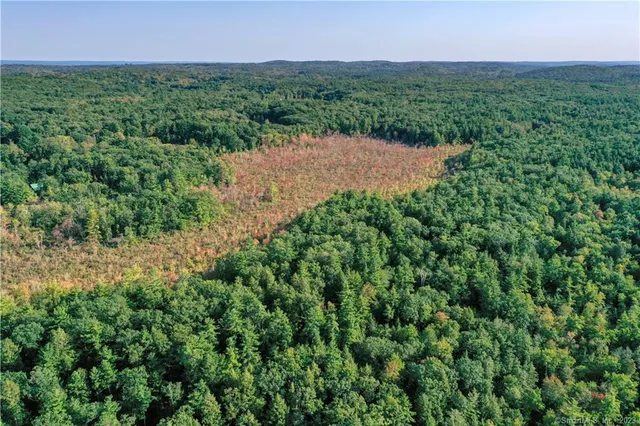 a view of a green field with lots of bushes