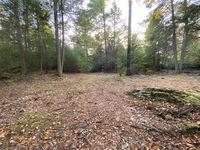 a view of a yard with lots of green space