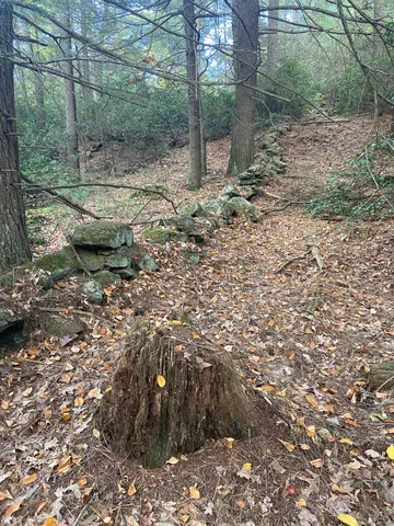 a view of a lake from a yard