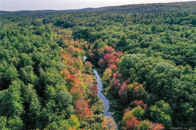 a view of a house with a lush green forest
