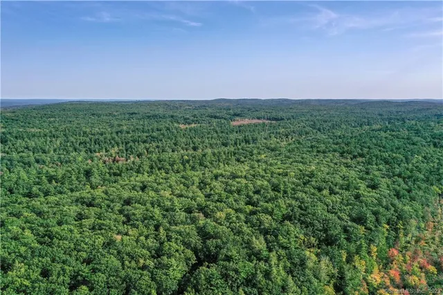 a view of a big yard with lots of green space