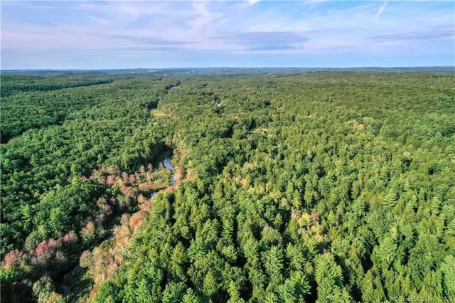 a view of a green field with lots of bushes