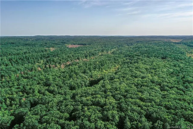 an aerial view of houses covered in trees