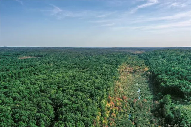 an aerial view of houses covered in trees