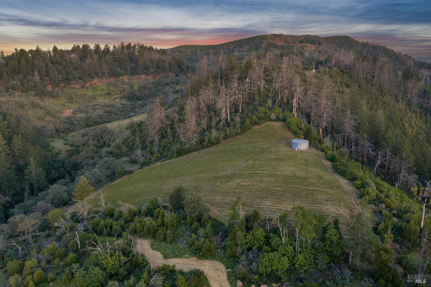 3801 Mt Veeder Road Napa, CA 94558 - Photo 9 of 22