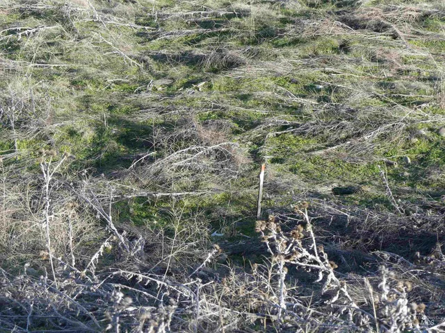 $90,000 | 2987 Knoll Crest Drive, Lewiston, ID 83501