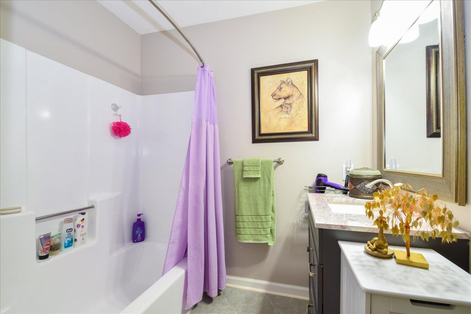 337 Teel Brooke Road Rocky Mount, VA 24151 - Photo 15 of 43 2nd Bathroom