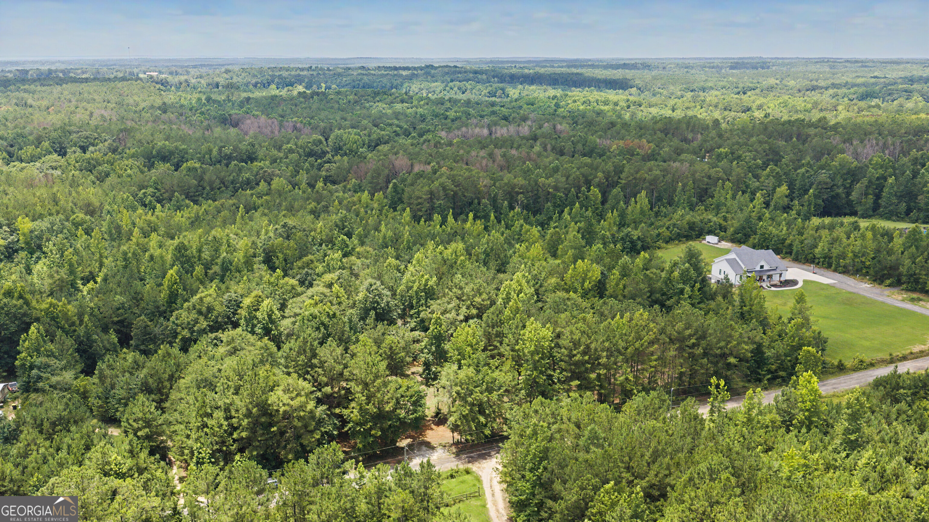 661 Hugh O Neal Road Greenville, GA 30222 - Photo 4 of 11