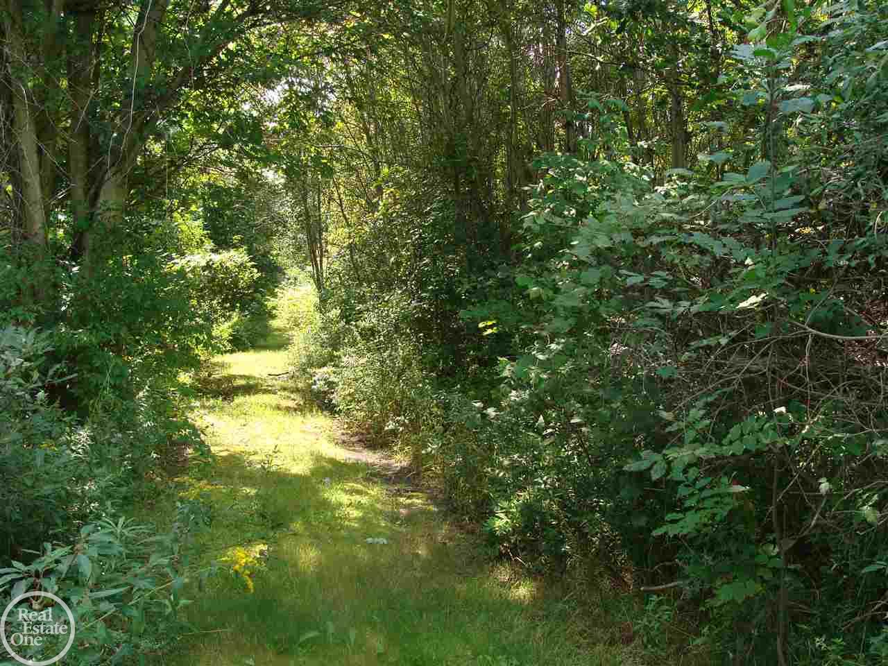 7773 Bean Road Avoca, MI 48006 - Photo 12 of 20