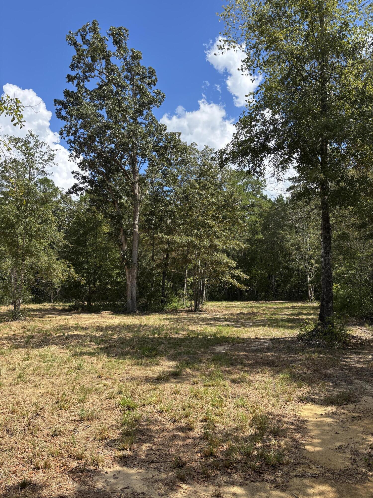 2190 Harristown Road St. Stephen, SC 29479 - Photo 16 of 27 IMG_0577