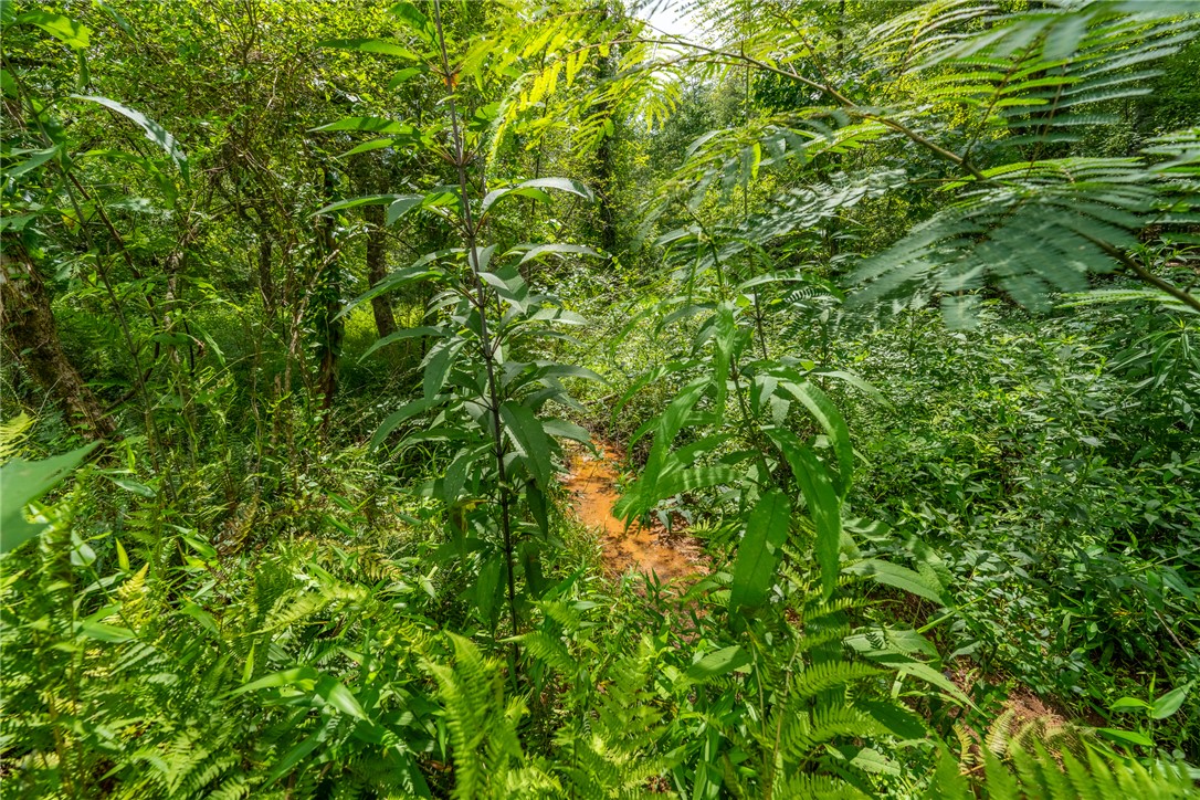 0 Hidden Valley Road Pickens, SC 29671 - Photo 8 of 19