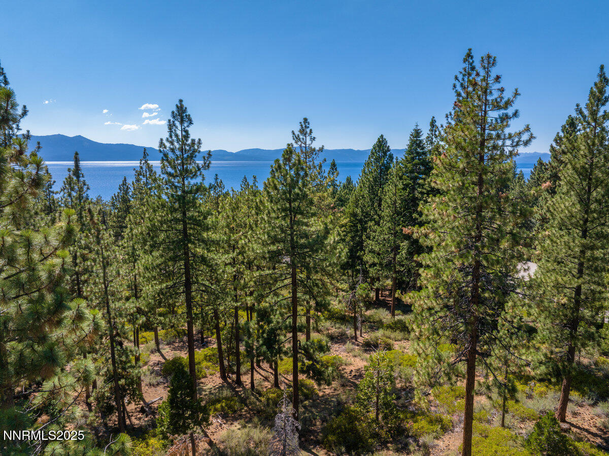 1227 Highway 50 Zephyr Cove, NV 89448 - Photo 6 of 16 a view of a city