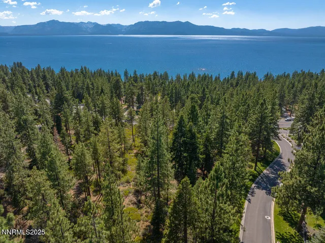 a view of a lush green forest with a houses