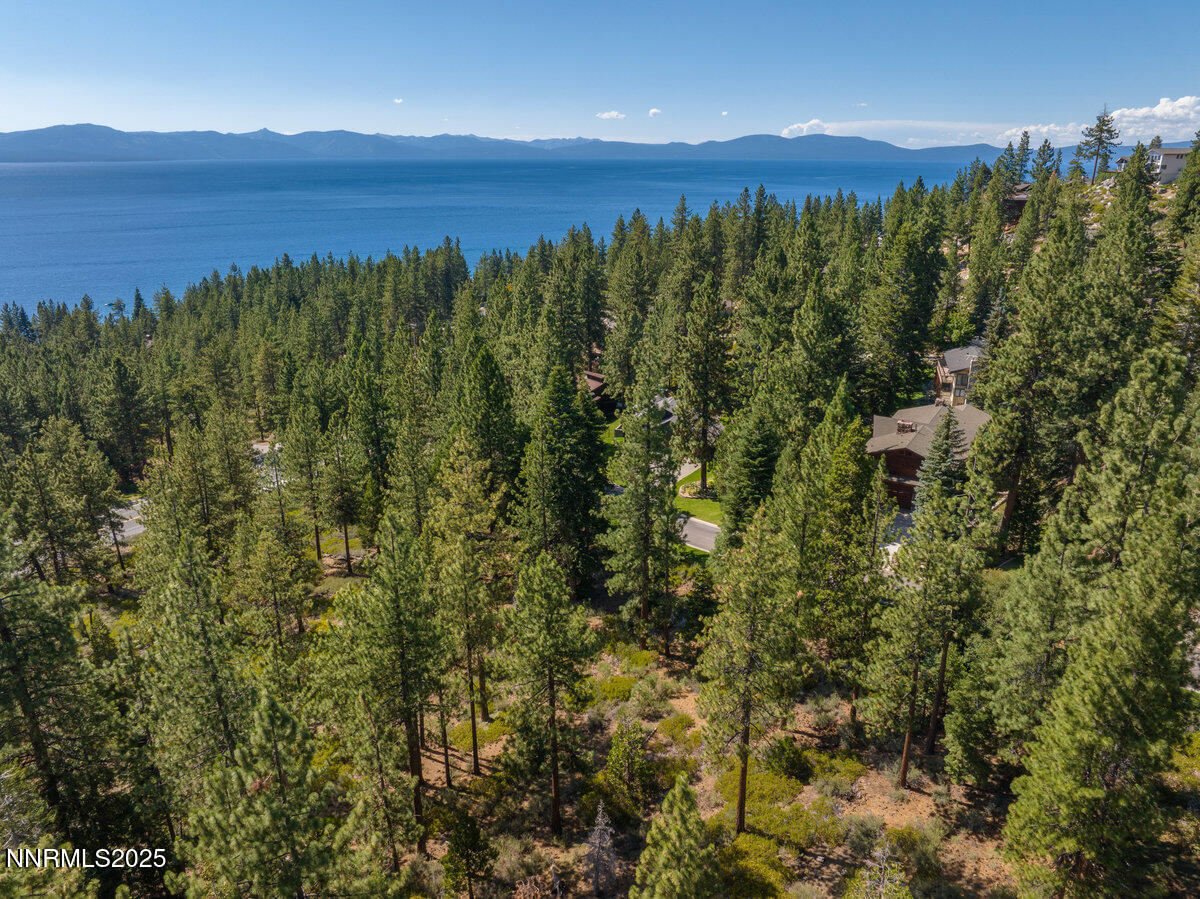 1227 Highway 50 Zephyr Cove, NV 89448 - Photo 8 of 16 a view of a lush green forest with a houses