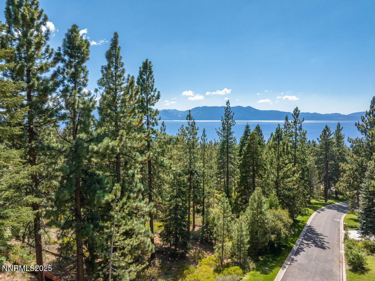 1227 Highway 50 Zephyr Cove, NV 89448 - Photo 9 of 16 a view of a city with lush green forest
