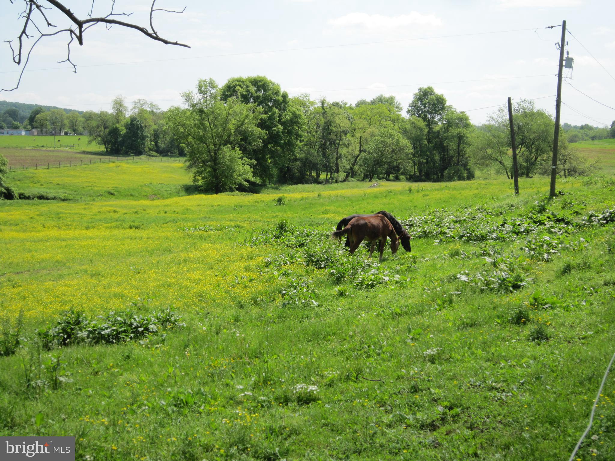 337 Cider Press Road Manheim, PA 17545 - Photo 11 of 84