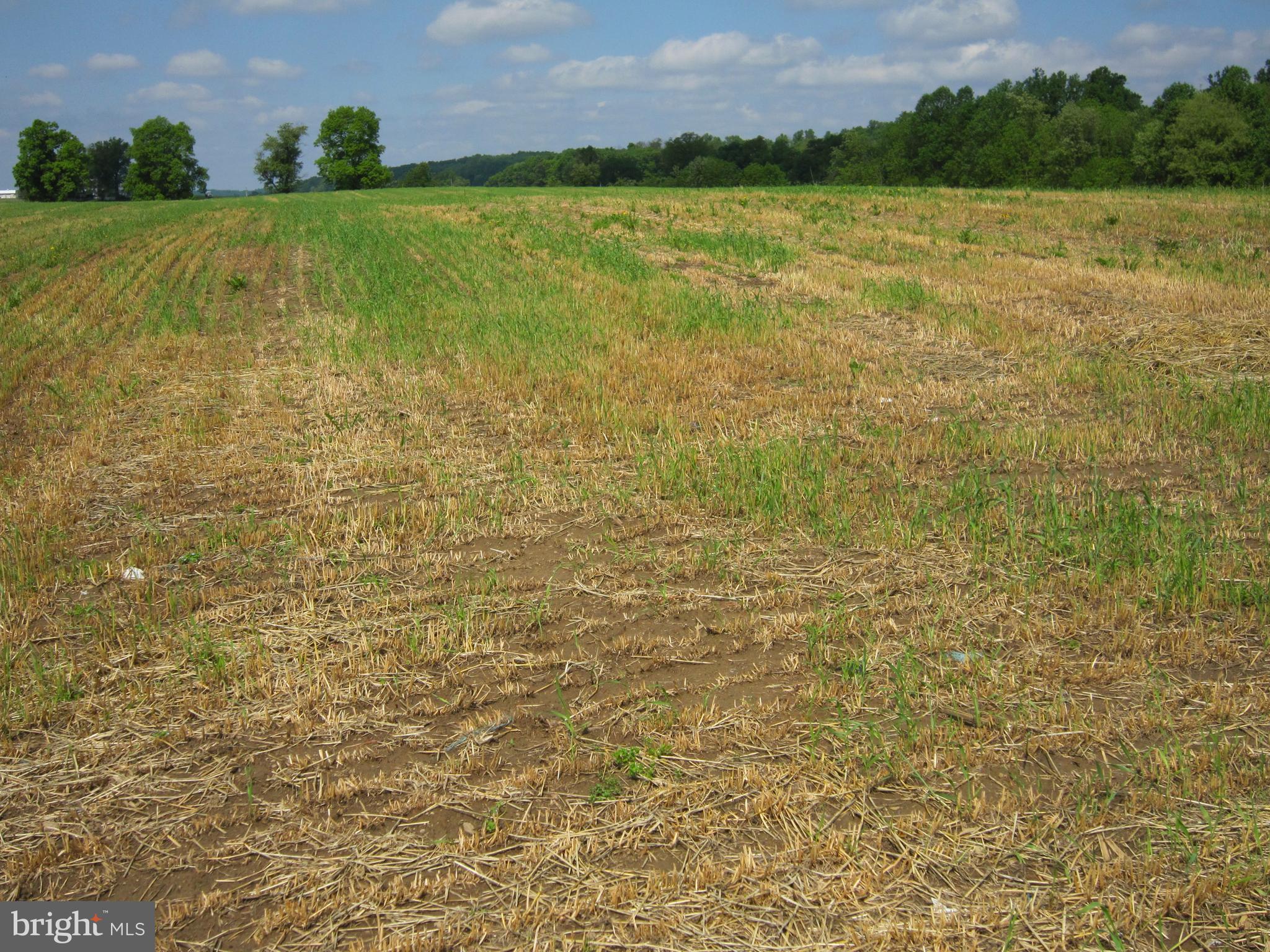 337 Cider Press Road Manheim, PA 17545 - Photo 13 of 84