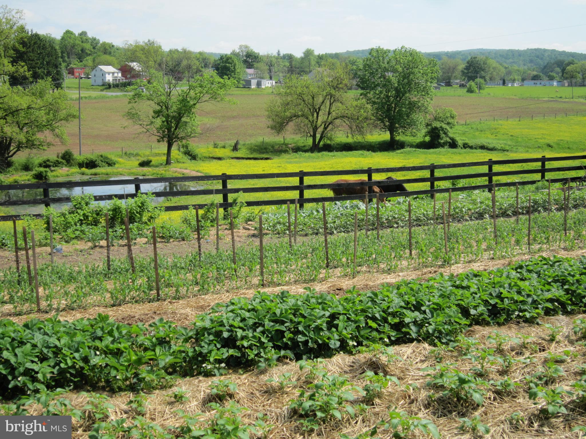 337 Cider Press Road Manheim, PA 17545 - Photo 18 of 84