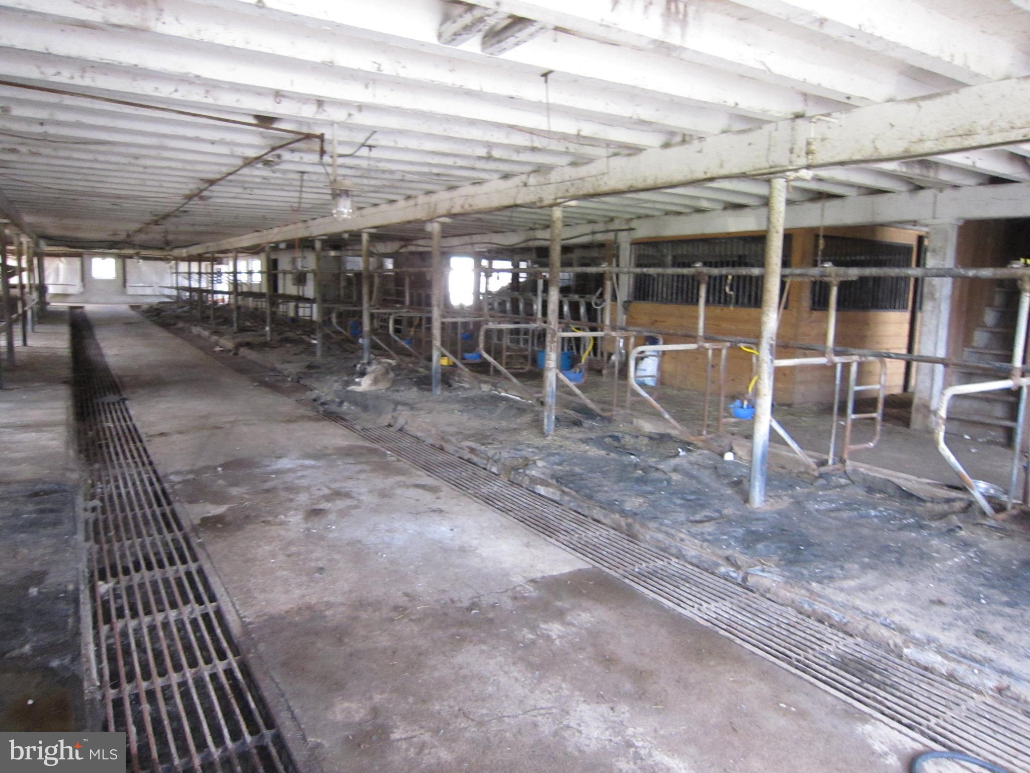 337 Cider Press Road Manheim, PA 17545 - Photo 8 of 84 63 Stall Cow Stable