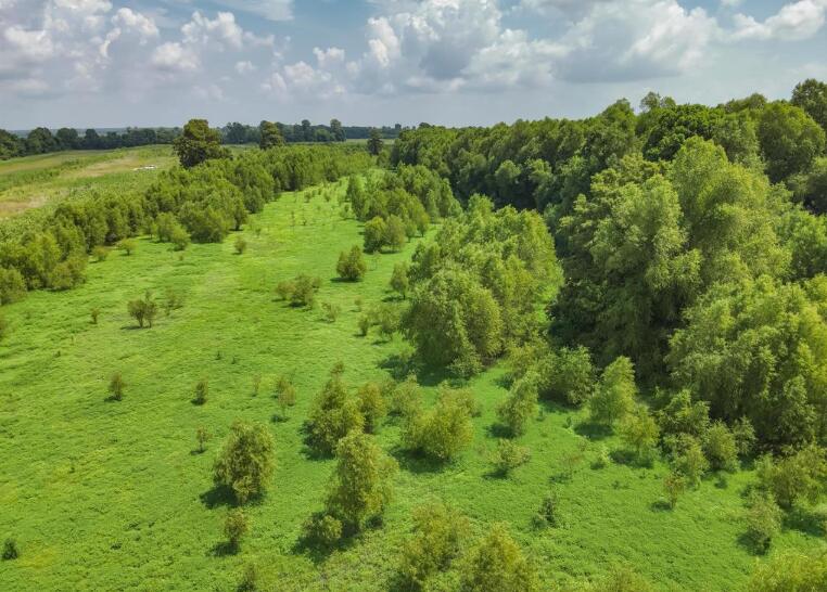 Land