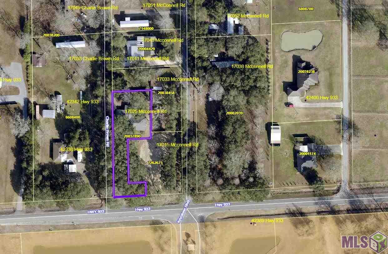 17025 McConnell Road Prairieville, LA 70769 - Photo 28 of 29 Gallery Image 28