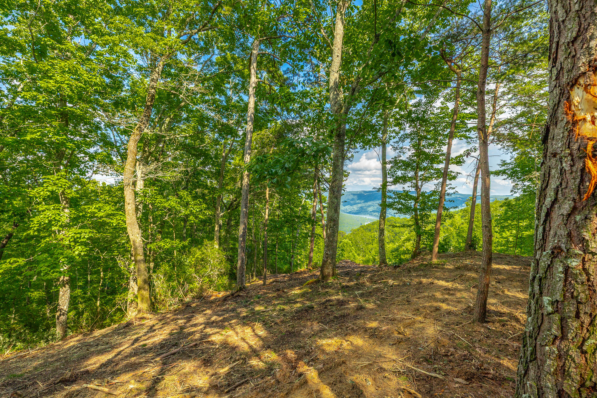 0 Back Basin Trail, Unit LOT 1244 Chattanooga, TN 37419 - Photo 28 of 119 MCW Correction HD-37