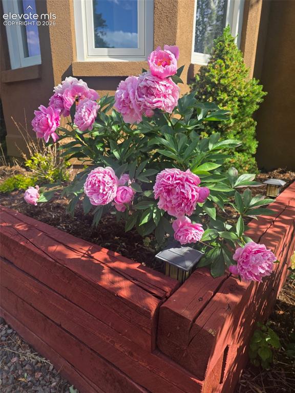 1375 Blueberry Hills Road Monument, CO 80132 - Photo 45 of 49