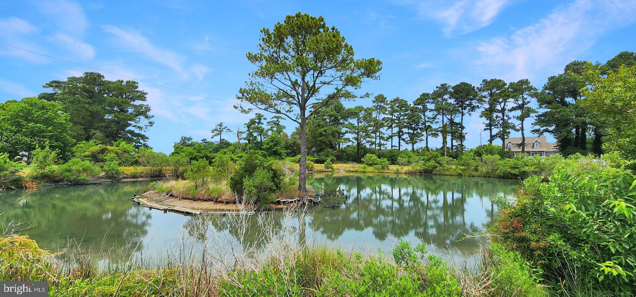 2598 Cherrystone Road Cape Charles, VA 23310 - Photo 44 of 47 Serene waters reflect lush greenery.