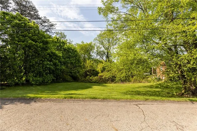 a view of a big yard with potted plants and large trees