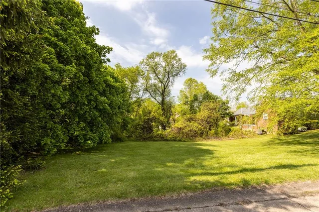 a view of yard with green space