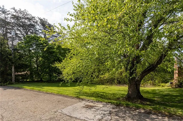 a view of a yard with a trees