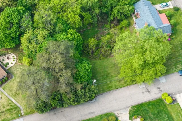 a view of a garden with plants