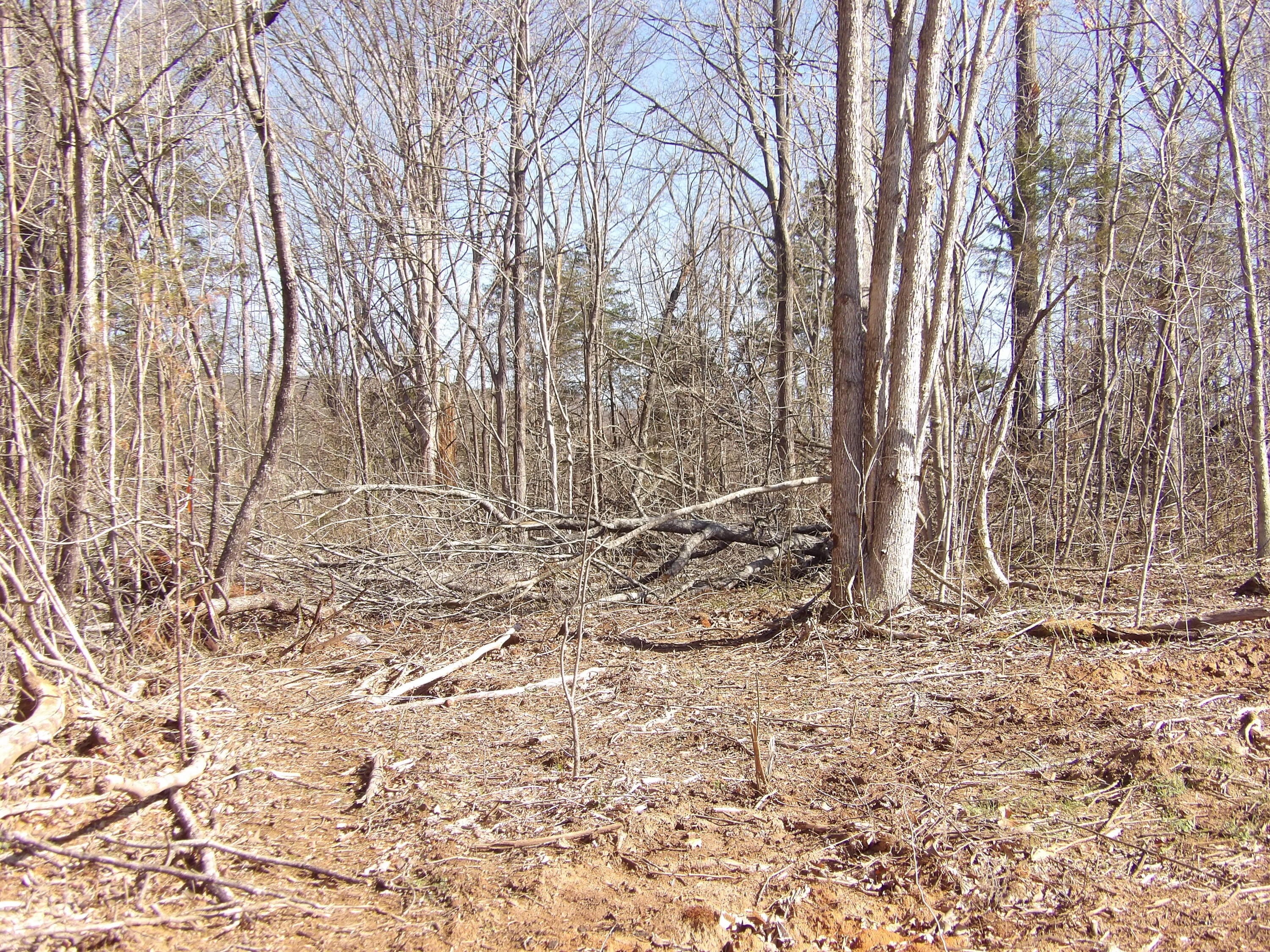 28 Rockfort Road Pikeville, TN 37367 - Photo 14 of 16 100_0161