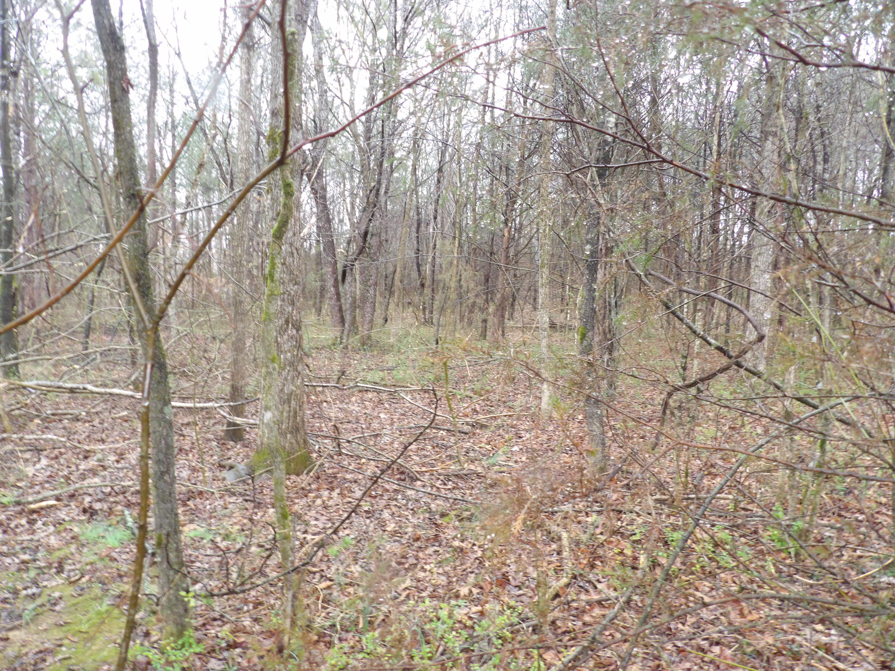 28 Rockfort Road Pikeville, TN 37367 - Photo 4 of 16 100_0113