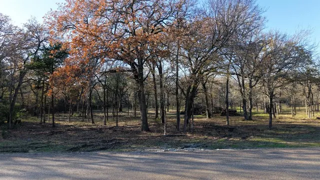 a view of a tree in the middle of a yard