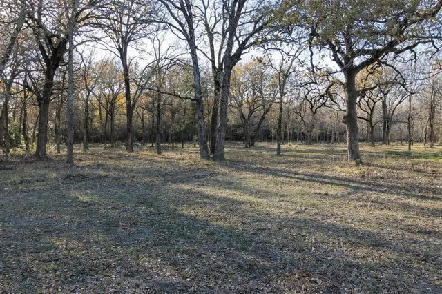 a view of outdoor space with trees