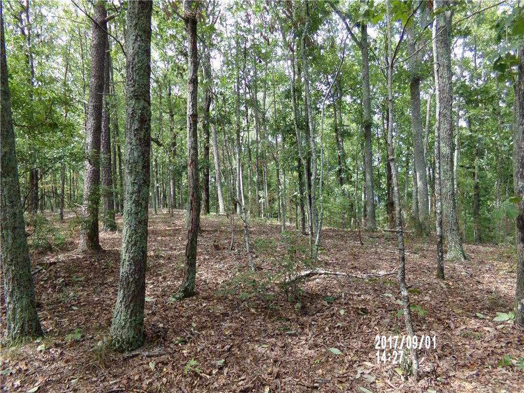Lt227 Stirratt Road Ranger, GA 30734 - Photo 1 of 1