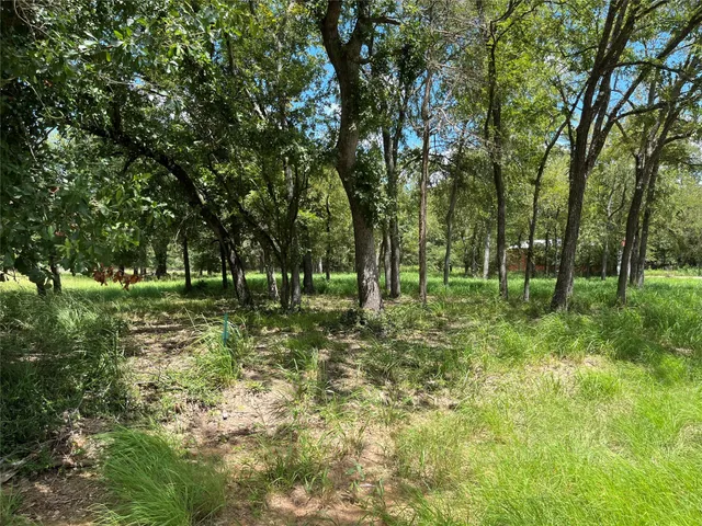 a view of outdoor space with trees all around