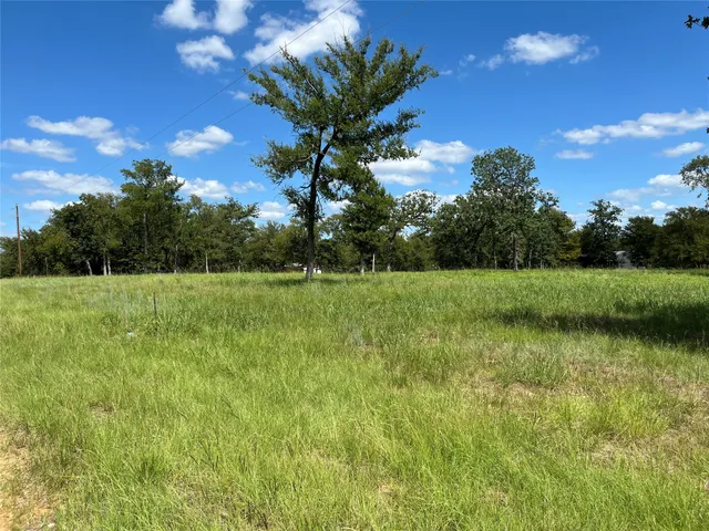 a view of a park with large trees
