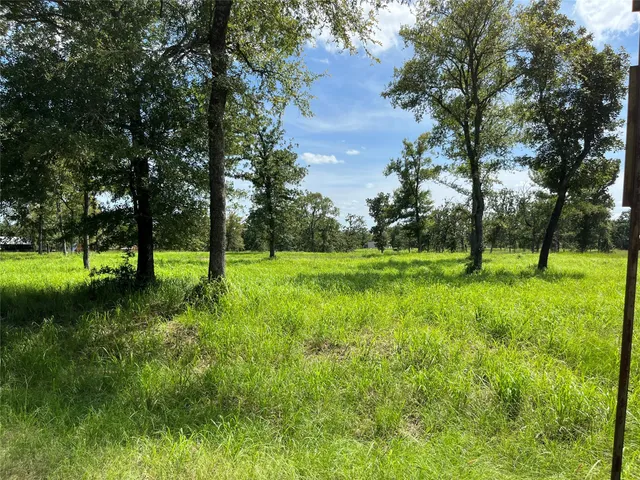 a view of a grassy field with trees