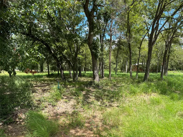 a view of outdoor space with trees all around