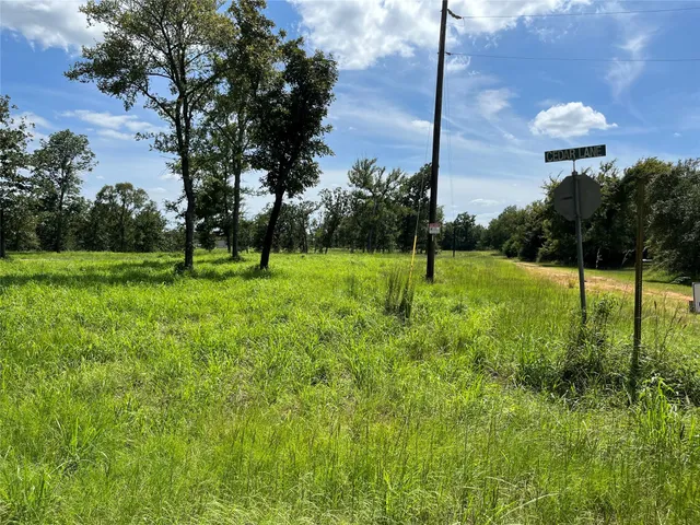 a view of a park with large trees