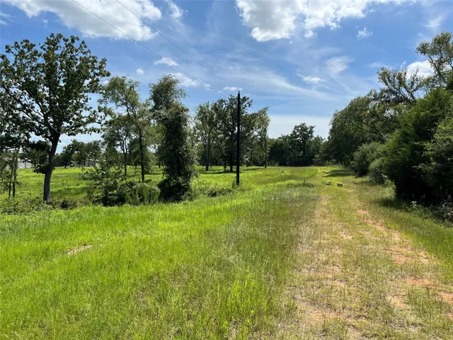 a view of park space