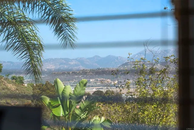 a view of outdoor space yard and patio