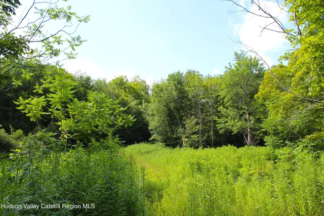 $100,000 | 174 High Peak Road, Windham, NY 12439